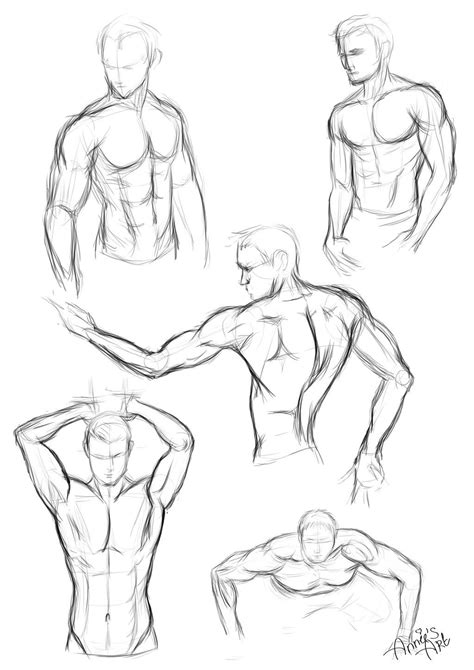 body sketch male